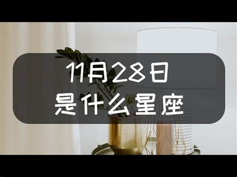 11月28號星座|【11月28星座】剖析11月28日星座：天蠍射手交界，神秘與冒險。